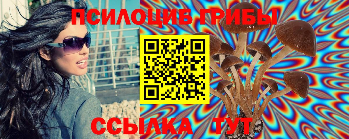 Галлюциногенные грибы Cubensis  Вход с VPN  Галлюциногенные грибы Psilocybe  Алушта 