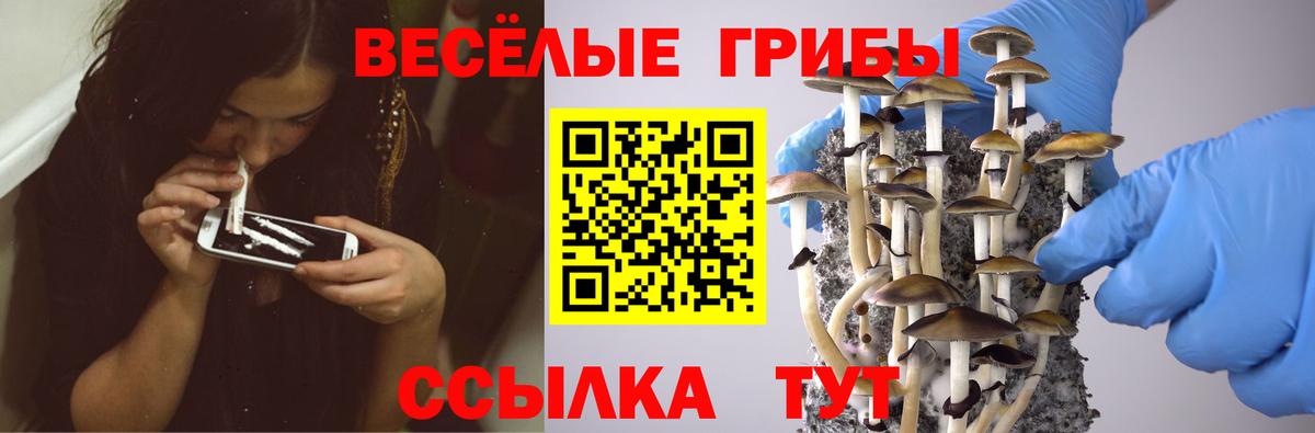 Псилоцибиновые грибы GOLDEN TEACHER Алушта
